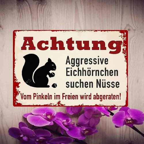 Blechschild aggressive - blechschild,